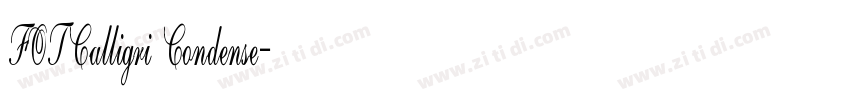 FOTCalligri Condense字体转换